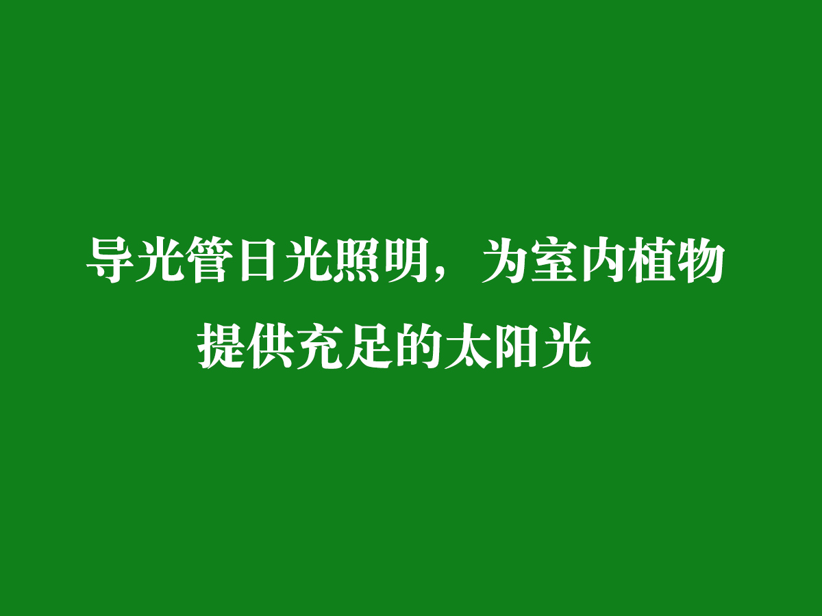 導(dǎo)光管日光照明，為室內(nèi)植物提供充足的太陽光